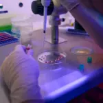 Ілюстративне фото біолабораторії