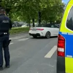 схованка з вогнепальною зброєю та боєприпасами в лісі